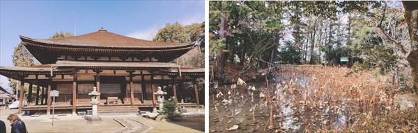 (左) 親鸞誕生の地と云われる法界寺の金堂(国宝) (右) 法界寺の庭池